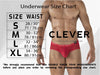 Clever 1781 Maya Briefs Color Dark Green