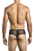 JUSTIN+SIMON XSJ22 Cheek Briefs Color Black