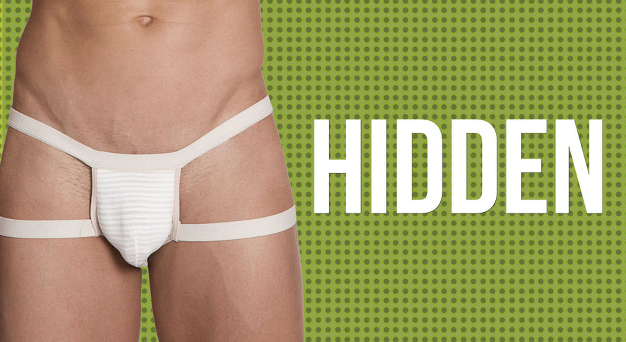 Hidden Seduction Underwear